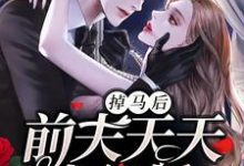 掉马后，前夫天天求复婚小说全文哪里可以免费看？-够力荐小说推荐网