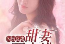 闪婚总裁:甜妻要出逃小说完结版章节免费阅读-够力荐小说推荐网