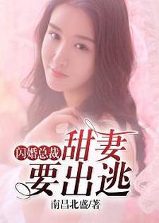闪婚总裁：甜妻要出逃小说完结版章节免费阅读