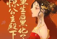 小说《惊!公主殿下重生后黑化了》章节免费阅读-够力荐小说推荐网