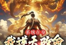 系统在身,我逆天改命,不讲武德小说最新章节在哪里可以读到?-够力荐小说推荐网