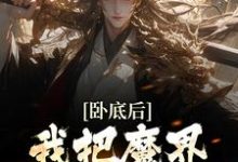 求卧底后,我把魔界圣女拿下了小说免费资源-够力荐小说推荐网