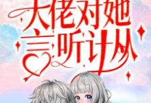 闪婚后,大佬对她言听计从小说的免费阅读版本在哪里可以找到?-够力荐小说推荐网