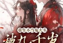 主角叫叶知笙裴观的小说在哪阅读-够力荐小说推荐网