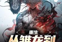 《重生：从雏龙到寰宇之王》小说大结局免费试读 季临小说-够力荐小说推荐网