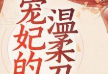 小说《宠妃的温柔刀》章节阅读-够力荐小说推荐网