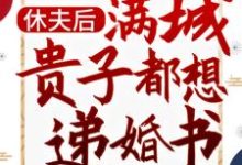 《休夫后,满城贵子都想递婚书》小说大结局免费试读 沈宁小说-够力荐小说推荐网