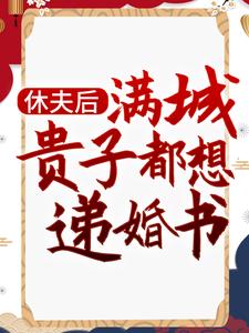 《休夫后，满城贵子都想递婚书》小说大结局免费试读 沈宁小说