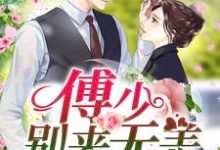 求季南歌傅沉渊江泽安小说免费资源-够力荐小说推荐网