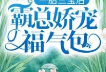 一胎三宝后,霸总娇宠福气包陆北城江如意小说免费阅读-够力荐小说推荐网