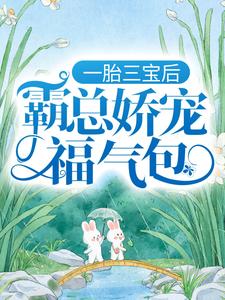 一胎三宝后，霸总娇宠福气包陆北城江如意小说免费阅读