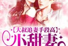 小说《大叔追妻手段高，小甜妻逃不掉》章节免费阅读-够力荐小说推荐网