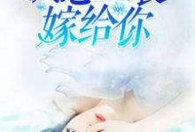 我想盛装嫁给你(苏言陆凌琛陈萱萱)在线免费阅读-够力荐小说推荐网