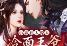 青鸢祁司晏的完整故事在哪里？读小狐狸太撩人，冷面王爷笑着宠小说-够力荐小说推荐网