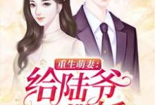求重生萌妻：给陆爷撒撒娇小说免费资源-够力荐小说推荐网