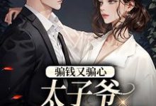 已完结小说《骗钱又骗心，太子爷追妻路漫漫》在线章节阅读-够力荐小说推荐网