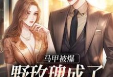 完结版《马甲被爆，野玫瑰成了大佬掌中娇》章节阅读-够力荐小说推荐网