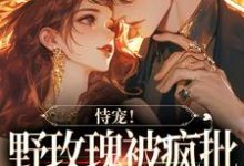 恃宠!野玫瑰被疯批大佬狂宠入骨小说全文阅读需要付费吗?寻找免费资源-够力荐小说推荐网