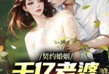 契约婚姻：千亿老婆太撩人小说的免费阅读版本在哪里可以找到？-够力荐小说推荐网