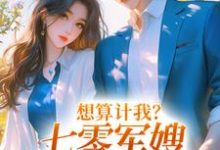 小说《想算计我?七零军嫂搬空你全家》章节阅读-够力荐小说推荐网