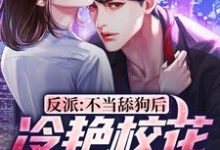 在线免费阅读反派：不当舔狗后，冷艳校花急哭了完整小说-够力荐小说推荐网