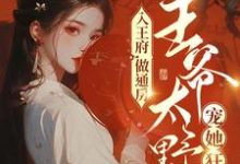 《入王府,做通房,王爷太野宠她狂》小说祁北辰苏摇章节章节免费在线阅读-够力荐小说推荐网