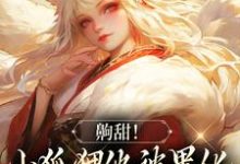 小说《齁甜!小狐狸他被黑化男主吃干抹净》章节免费阅读-够力荐小说推荐网