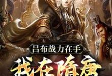 吕布战力在手，我在隋唐杀疯了小说完结了吗？在哪里可以免费读到？-够力荐小说推荐网