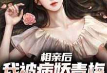 已完结小说《相亲后,我被病娇青梅强势占有》章节在线阅读-够力荐小说推荐网