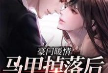 豪门暖情：马甲掉落后，她震撼全球小说有没有完结版在线？-够力荐小说推荐网
