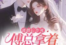 离婚后诈死,傅总拿着孕检单疯了小说全文哪里可以免费看?-够力荐小说推荐网