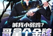 完结版《喊我小弱鸡？哥拿个金牌你就老实了》在线免费阅读-够力荐小说推荐网