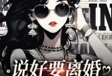 说好要离婚,你怎么后悔了免费阅读,说好要离婚,你怎么后悔了章节在线阅读-够力荐小说推荐网