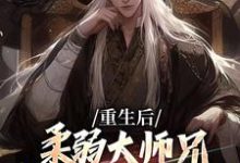 江仙小说重生后,柔弱大师兄变成冷面修罗了章节免费阅读-够力荐小说推荐网