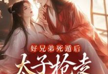 好兄弟死遁后,太子抢走了娇娇孟锦月小说大结局免费试读-够力荐小说推荐网