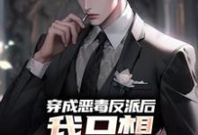 祝天凡冷冰凝小说穿成恶毒反派后，我只想离婚保平安在线阅读章节-够力荐小说推荐网