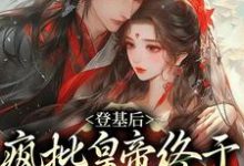 寻找能够免费阅读登基后，疯批皇帝终于娶到白月光小说的平台-够力荐小说推荐网
