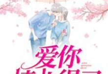 爱你情非得已免费阅读,爱你情非得已章节目录-够力荐小说推荐网