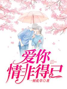 爱你情非得已免费阅读，爱你情非得已章节目录