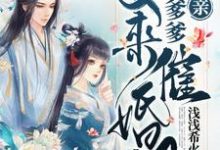 娘亲,王爷爹爹又来催婚啦小说有没有完整的免费版本在线阅读?-够力荐小说推荐网