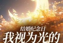 结婚纪念日,我视为光的老公出轨了小说的无弹窗阅读体验,寻找免费阅读网站-够力荐小说推荐网