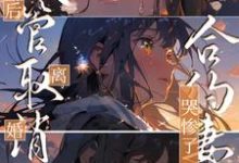 陆洲秦浅浅程嘉佑小说叫什么(试管取消后离婚,合约妻子哭惨了免费阅读)-够力荐小说推荐网