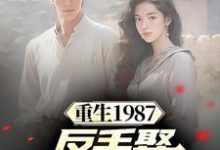 重生1987，反手娶小姨子真香小说最新章节在哪里可以读到？-够力荐小说推荐网