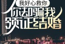 我好心救你,你却骗我领证结婚?小说的无弹窗阅读体验,寻找免费阅读网站-够力荐小说推荐网