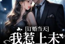 免费在线阅读订婚当天，我惹上未婚夫小叔小说的正规网站有哪些？-够力荐小说推荐网