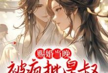 在线免费阅读赐婚当晚，被疯批皇叔强取豪夺完整小说-够力荐小说推荐网