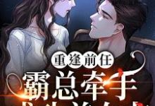 求推荐可以免费阅读重逢前任:霸总牵手成功前女友小说的网站-够力荐小说推荐网