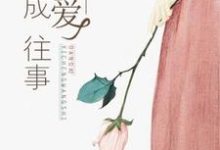 完结版《当爱已成往事》在线免费阅读-够力荐小说推荐网