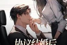 小说《协议结婚后,高冷总裁要反悔》在线章节阅读-够力荐小说推荐网