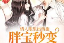 情人眼里出西施,胖宝秒变冷艳辣妻小说的免费阅读版本在哪里可以找到?-够力荐小说推荐网